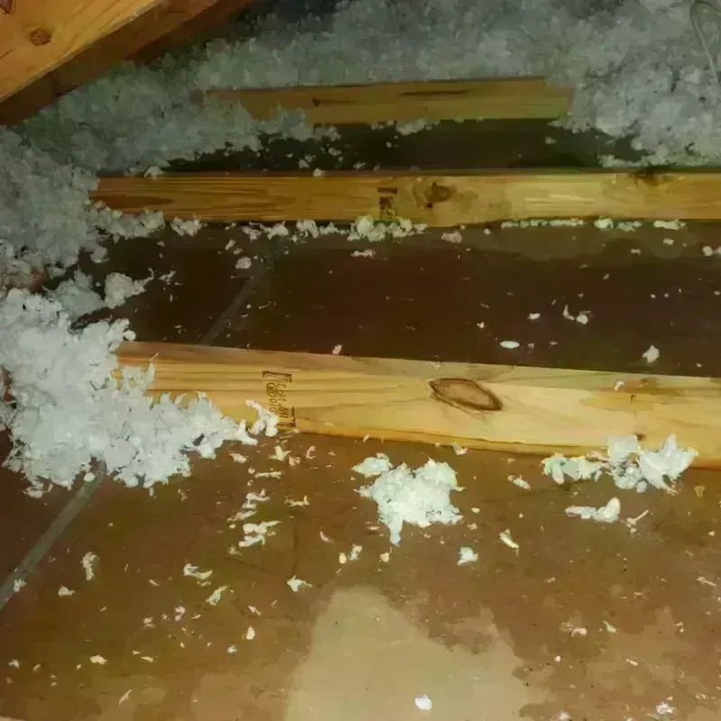 Attic Water Damage in Aurora, OH