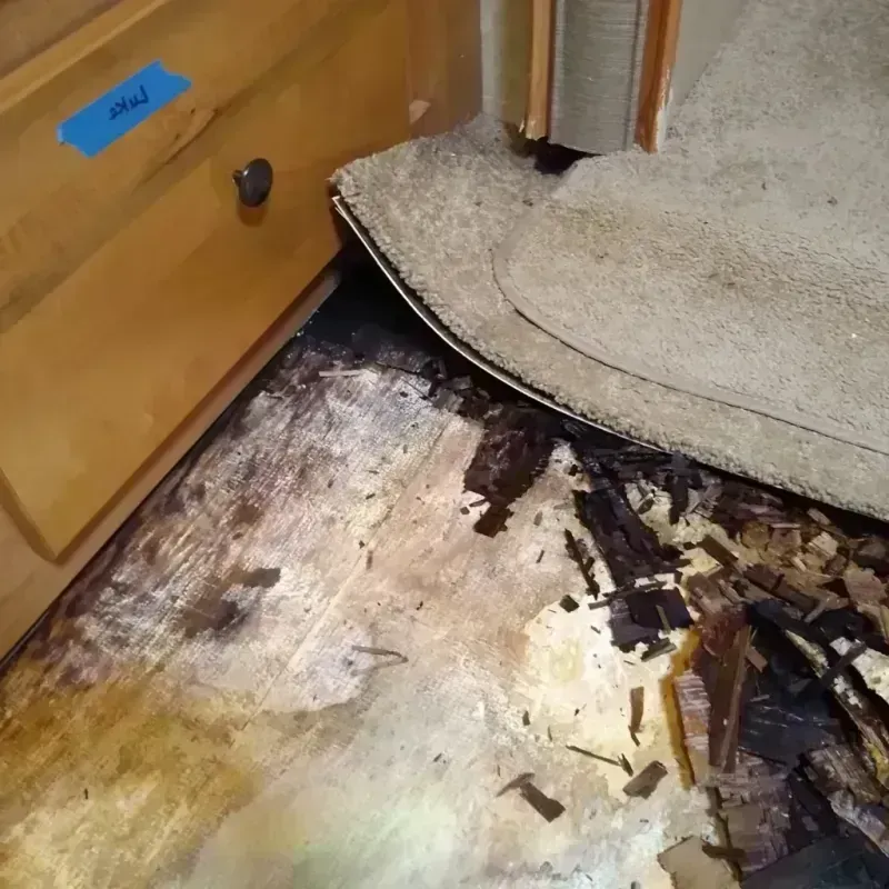 Best Wood Floor Water Damage Service in Aurora, OH